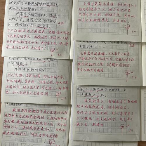 小学三年级作文评语大全