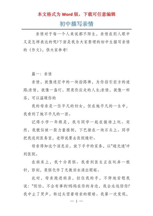 写亲情作文900字初中