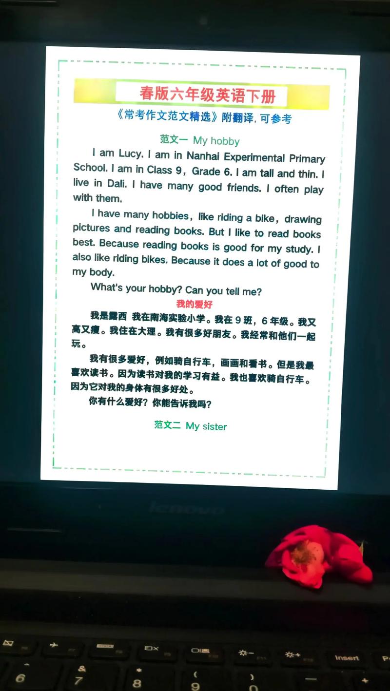 小学六年级英语作文大全