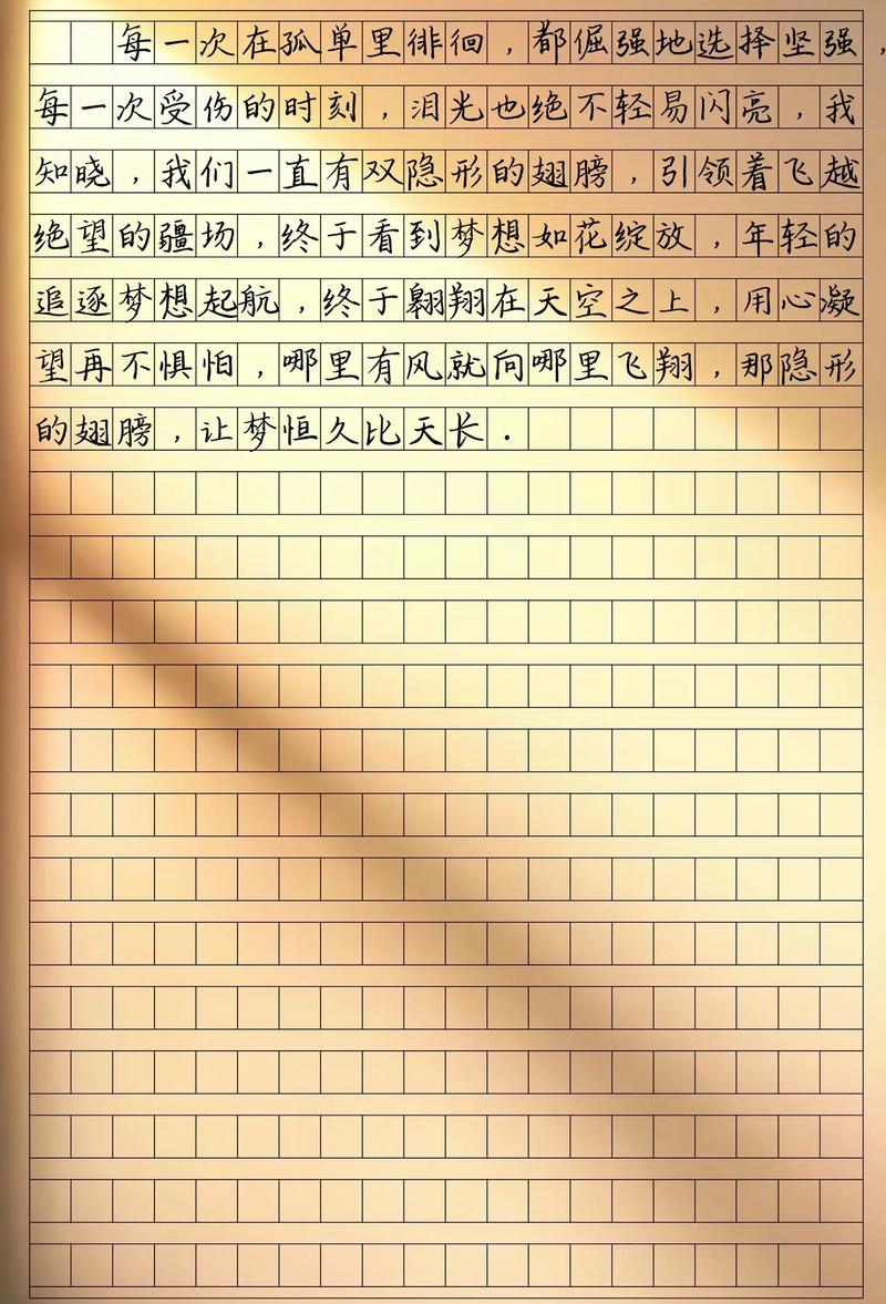 隐形的翅膀作文初中作文