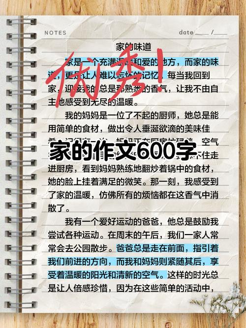 我家真有趣600字初中