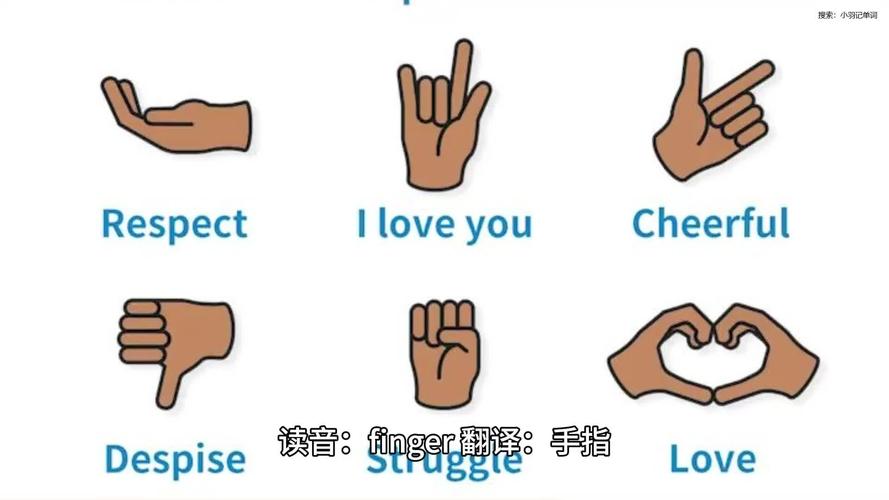 幼儿英语拍手数数早教