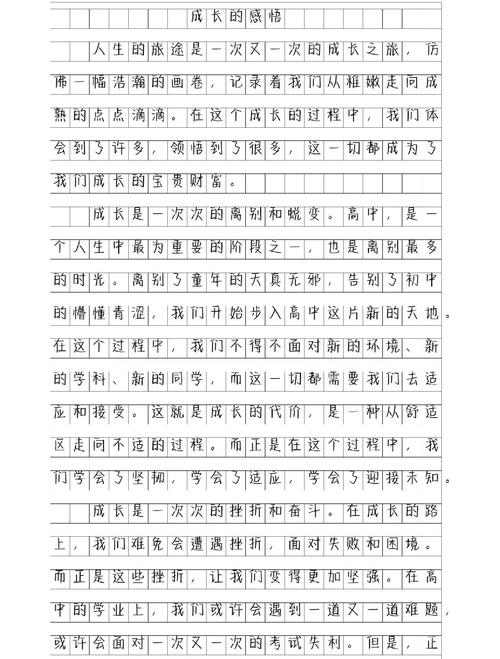 初中到高中的感想600