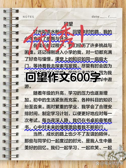 回望与展望作文初中作文