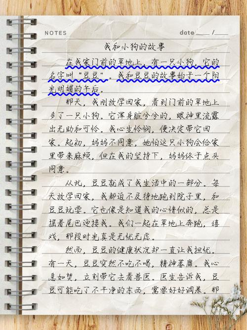 作文写故事600字初中