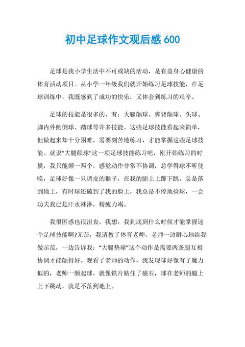 享受足球的乐趣作文初中