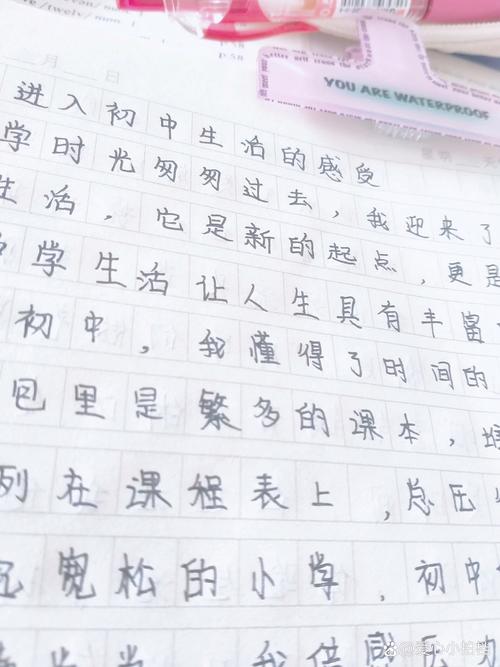 初中的入学感受600字