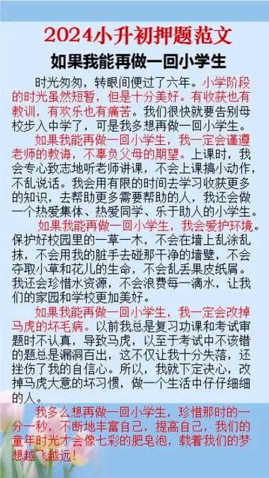 如果我能再做一回小学生