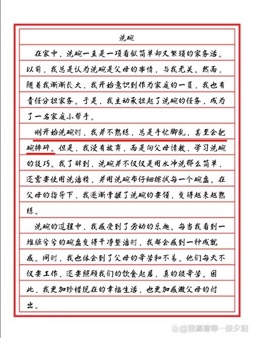 洗碗300字初中要真实