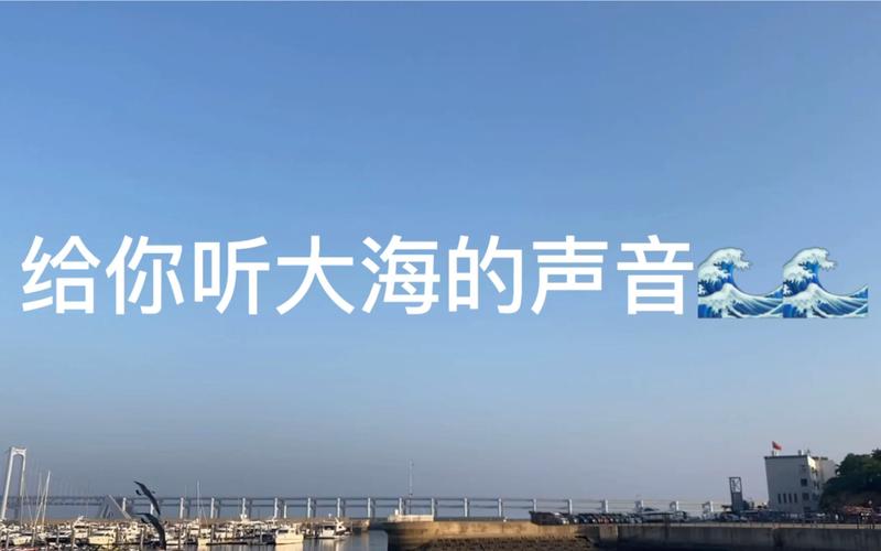 大海的声音400字初中