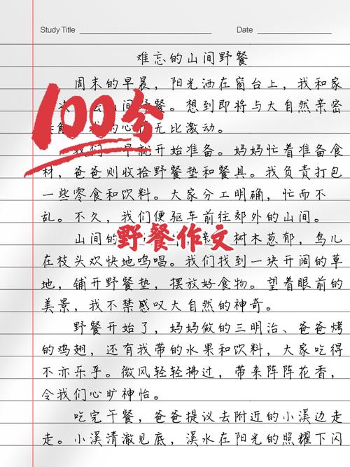 野餐初中的作文600字