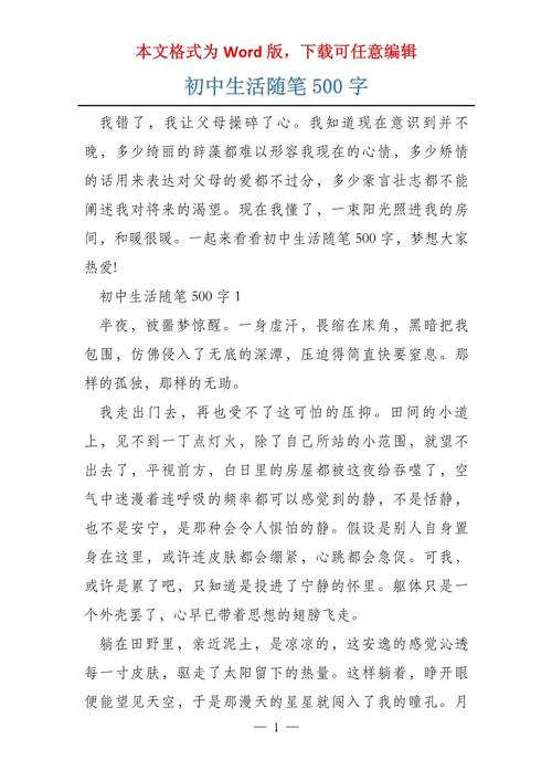 入初中感悟500字以上