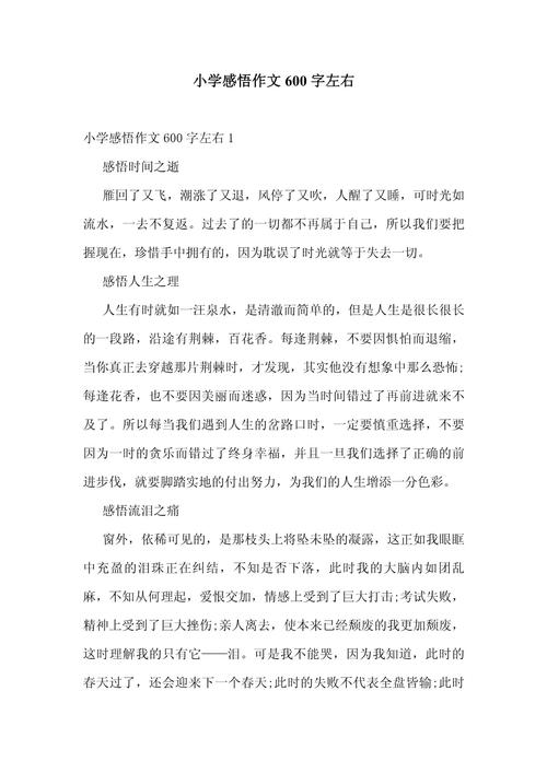 小学进入初中的感受作文