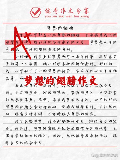 放飞理想的翅膀初中作文