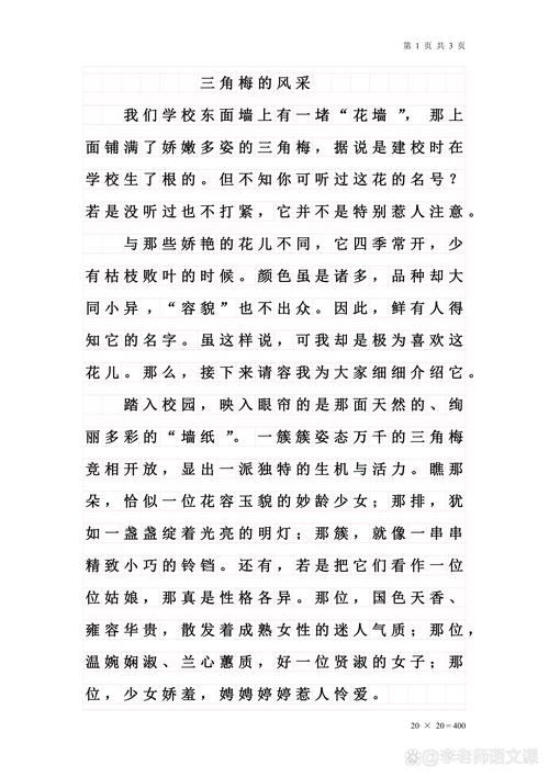 我们初中的语文老师作文