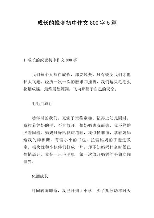 成长的蜕变初中作文担当