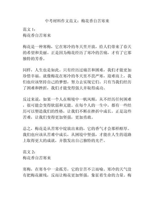 初中梅花的作文800字