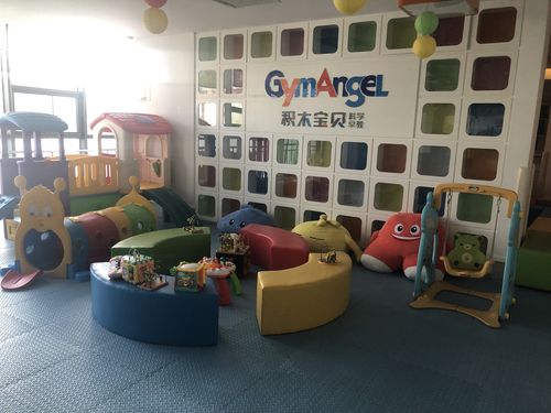 苏州积木宝贝科学早教