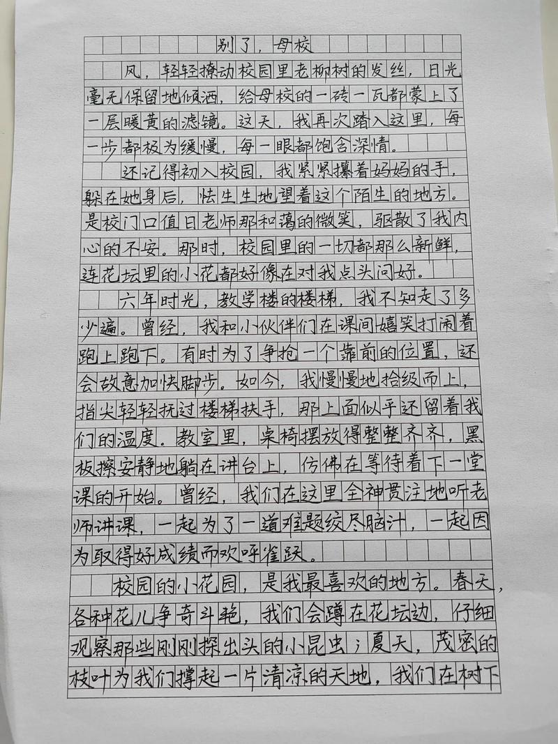 毕业季初中600字作文