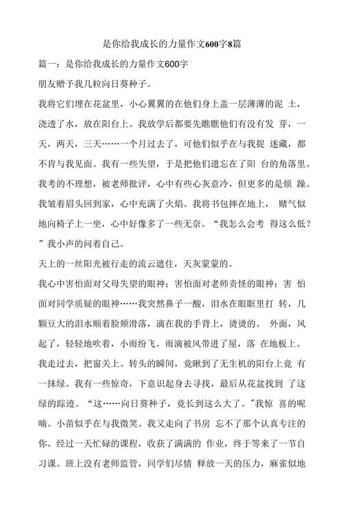 是你给了我力量初中满分