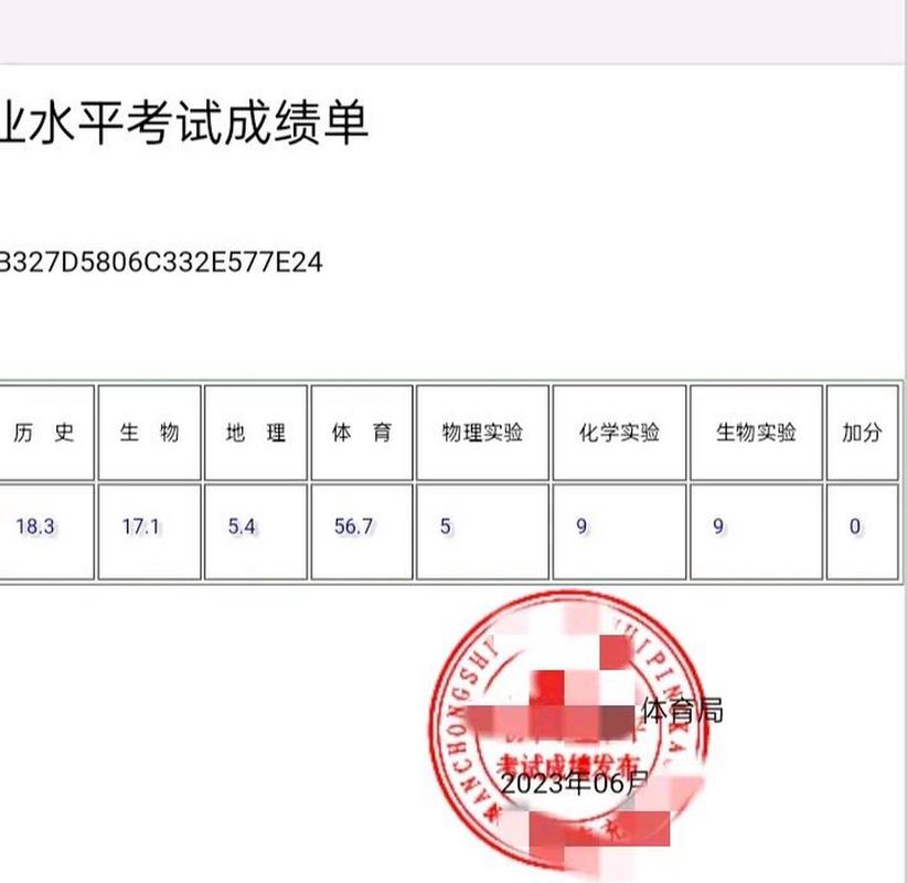 是你给了我力量初中满分