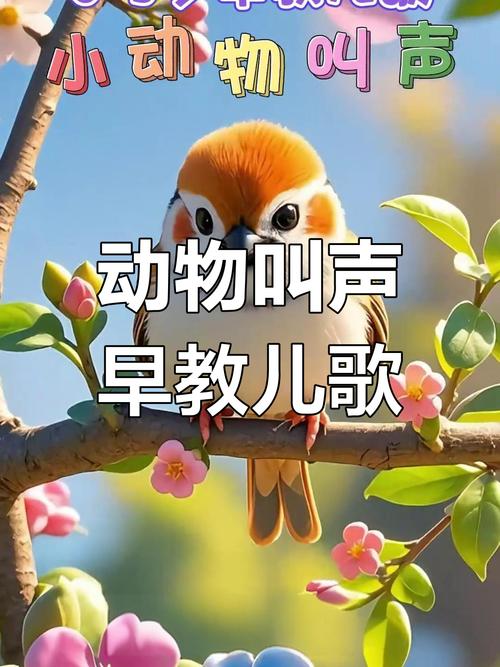 亲子早教音乐动物叫声