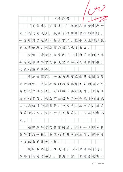 下雪了初中作文600字
