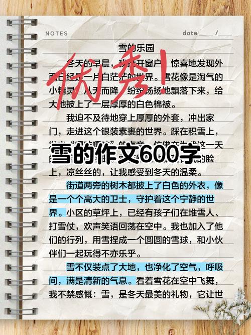 下雪了初中作文600字