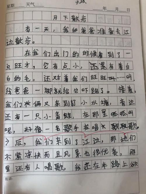 月下树作文700字初中