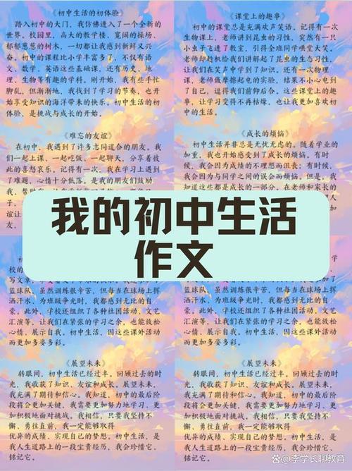 幻想初中以后的生活作文