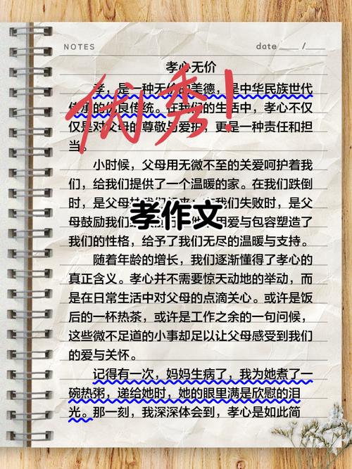 孝的作文450初中作文