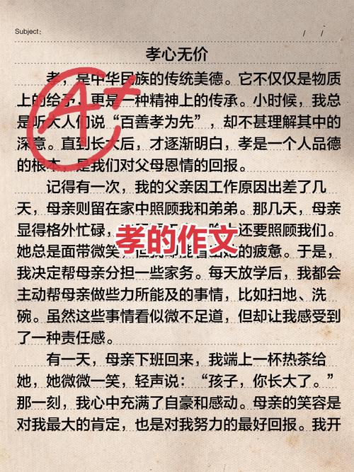 孝的作文450初中作文