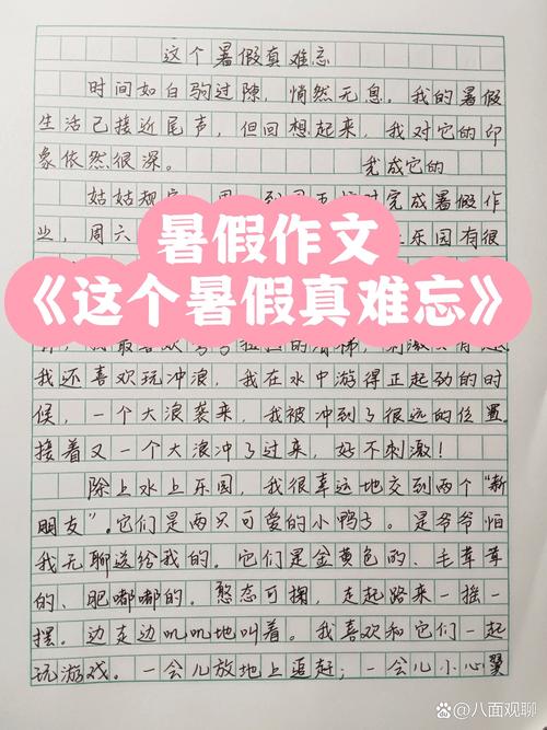 放暑假了作文500初中