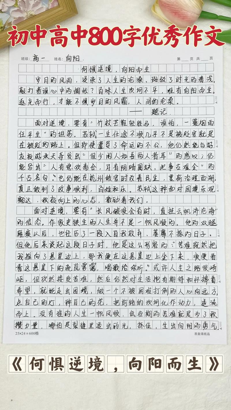 初中800字作文加赏析