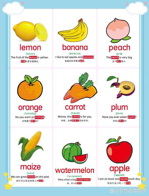 中班幼儿英语早教单词