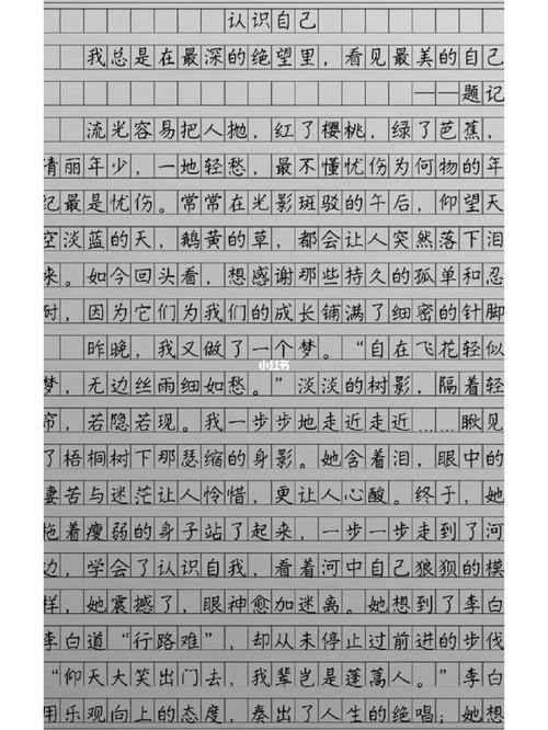 重识自己初中作文550