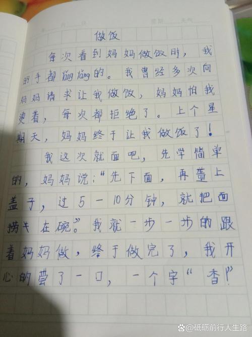 小学生作文100字大全