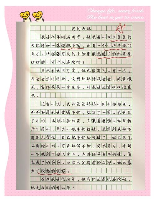 小学生作文100字大全