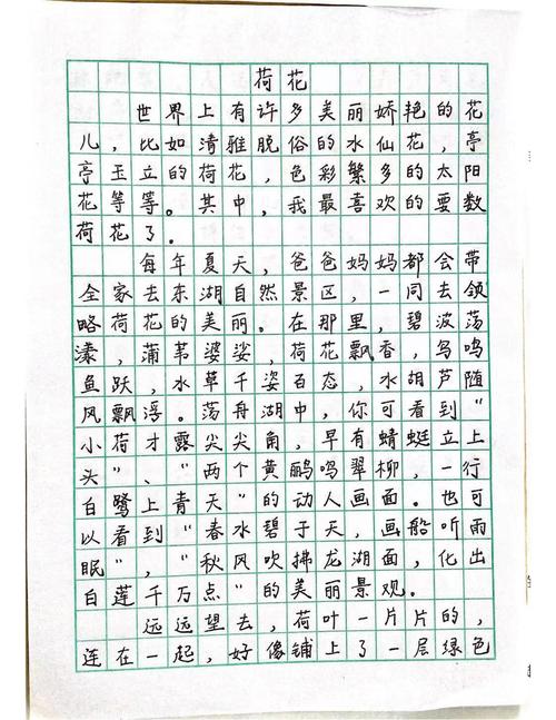 小学三年级第一单元作文