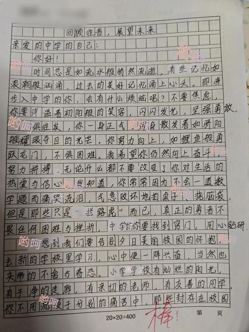面临初中毕业的我们作文