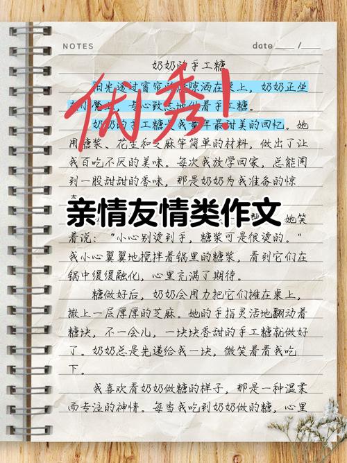 初中关于亲情友情的作文