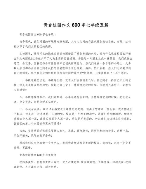 随笔600字初中致青春