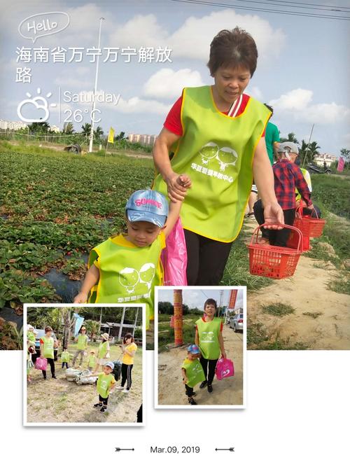 早教户外采摘主题活动