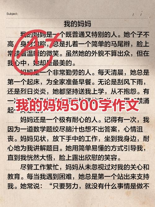 妈妈的初中作文500字