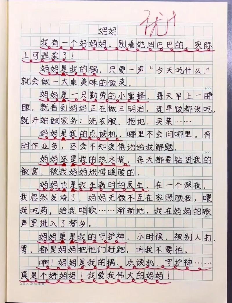 妈妈的初中作文500字