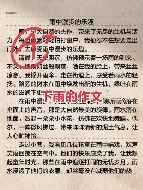 暑假下雨的作文初中作文