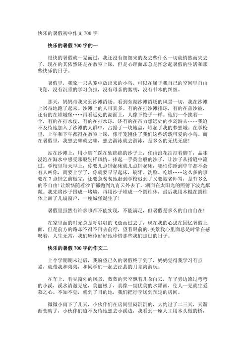 暑假二三事初中700字
