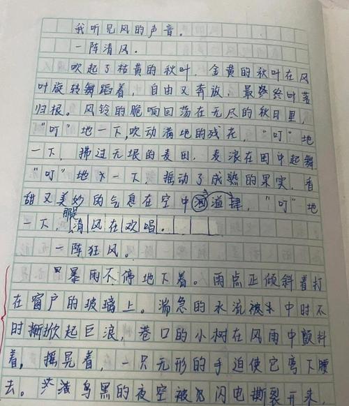 关于风的作文300初中