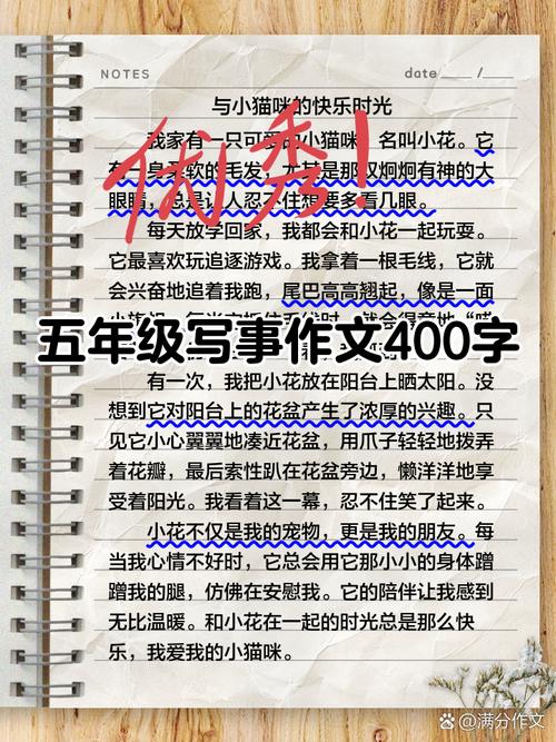 小学五年级日记400字