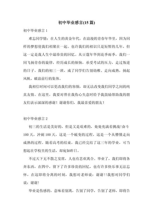 从初中毕业后作文500